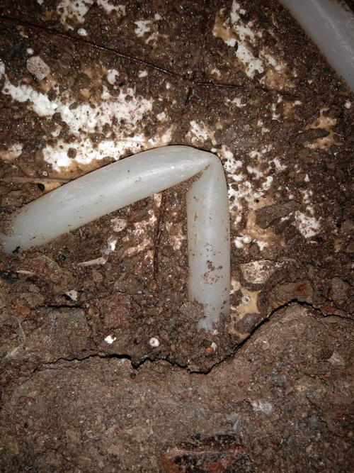 大悟堵点精准查找